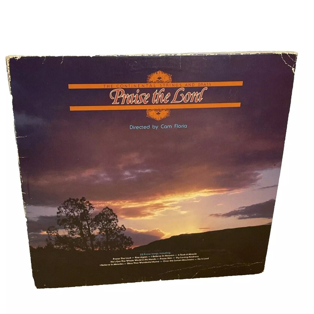 Continental Strings And Brass Praise The Lord (Vinyl, 1980) New Life NL 0802-6